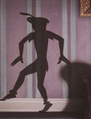 Le vicissitudini dell’Ombra (2)