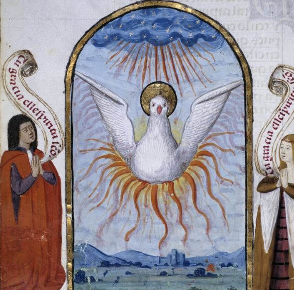 Il Giardino Zoologico Fantastico (1): visite guidate alla “Voliera”