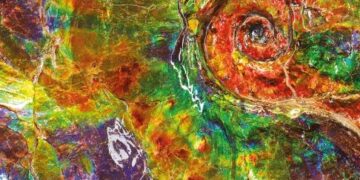 I “Fossili pazzeschi” che dovevano riscrivere la Storia Naturale