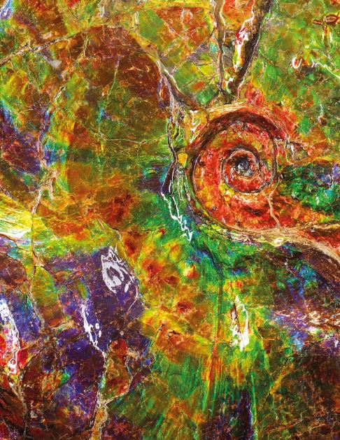 I “Fossili pazzeschi” che dovevano riscrivere la Storia Naturale