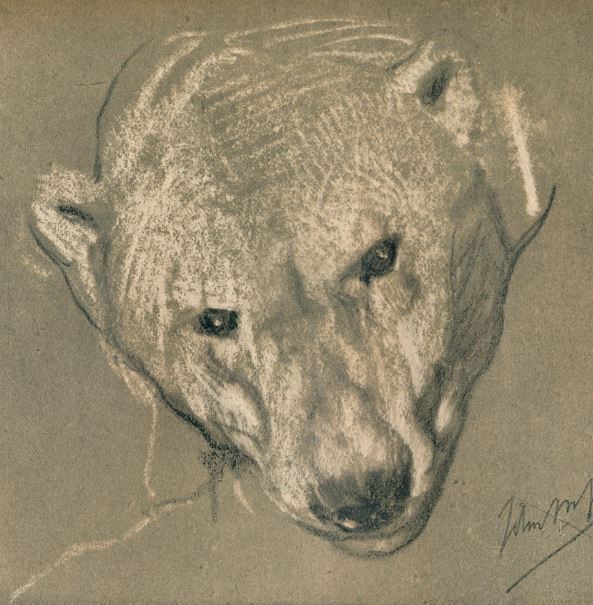 Indegne ipocrisie nella “Caccia all’Orso”