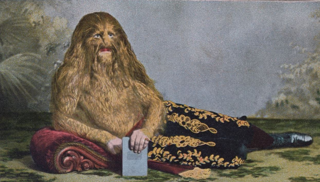 Freaks (2): Le “Corti dei Miracoli” prodotte dagli Umani