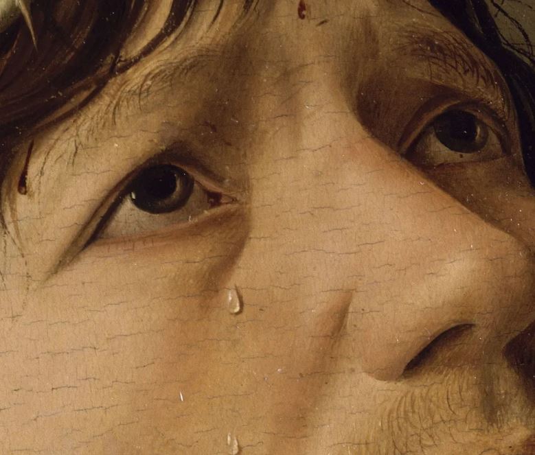 Storia Naturale delle Lacrime