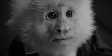 L’Ultima Follia di David Lynch: il cebo assassino “Jack”